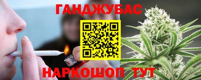 гидра Камышлов