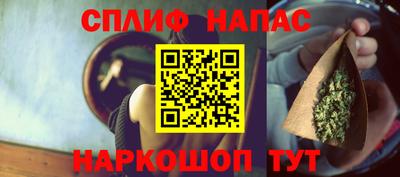 гидра Камышлов