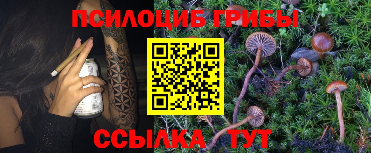 Галлюциногенные грибы Magic Shrooms  Вход с VPN  что такое   Конаково  Галлюциногенные грибы GOLDEN TEACHER 