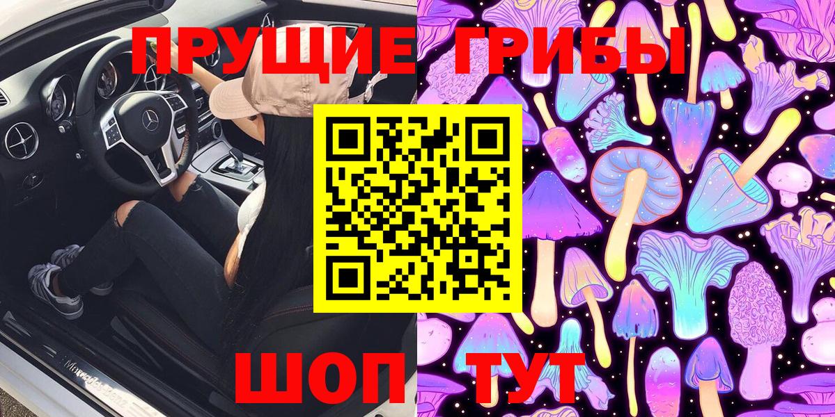 Галлюциногенные грибы Psilocybine cubensis Конаково